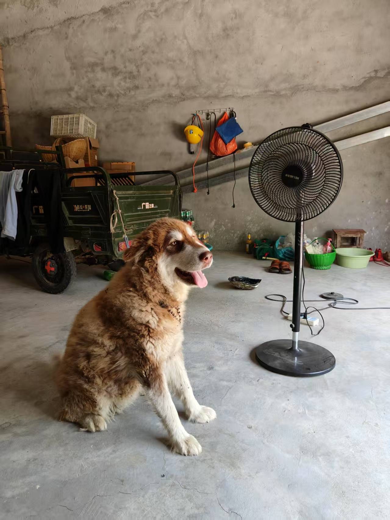 00后女孩醉驾时速174公里撞死3人<strong></p>
<p>影链币价格</strong>,逝者母亲:我每天都活在痛苦中