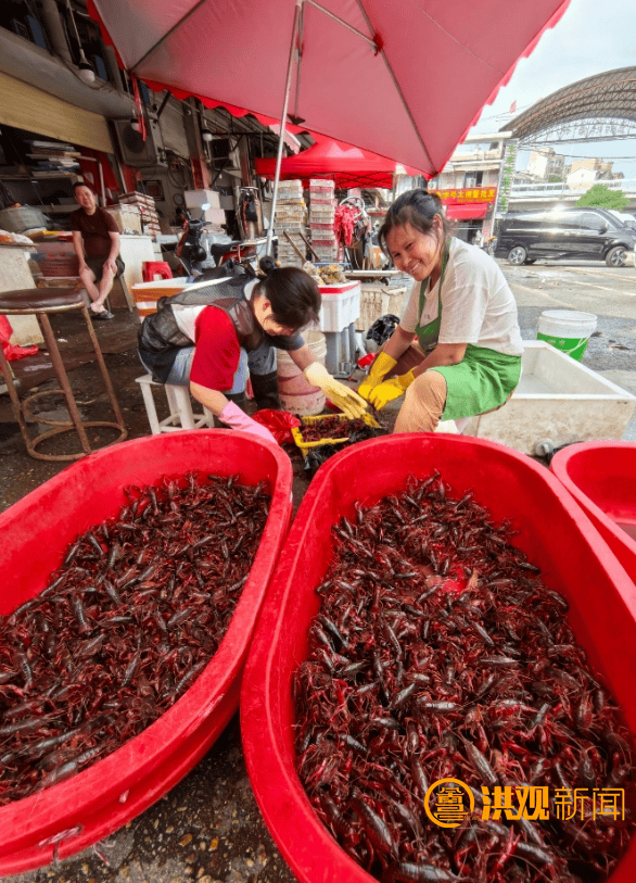价格腰斩<strong></p>
<p>影链币价格</strong>！13元/斤！南昌正大量上市