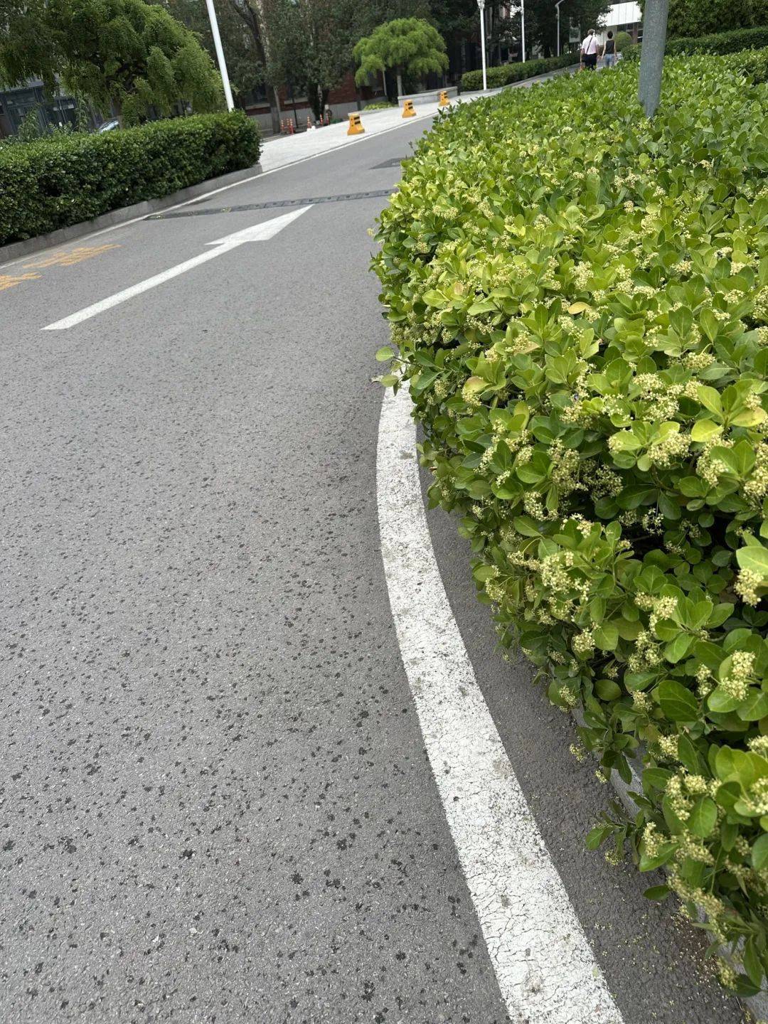 下雨了<strong></p>
<p>币圈94重来</strong>!天津接下来十天都是……