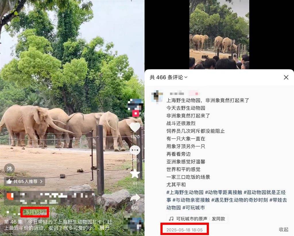 被攻击的母象丹妮未展出<strong></p>
<p>币圈94重来</strong>,为震慑作用设脉冲电网!记者实探上海野生动物园