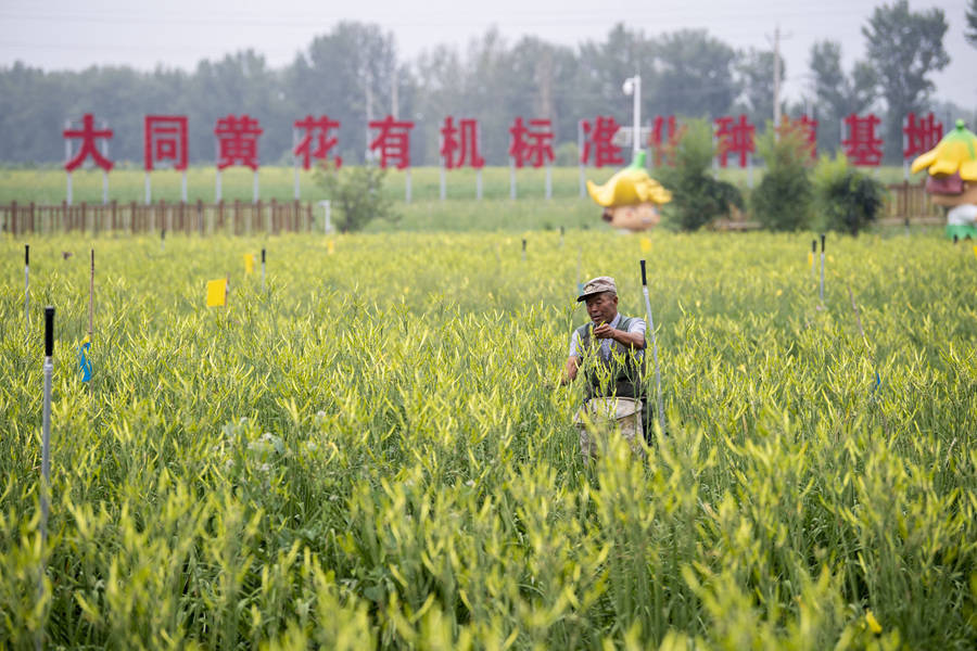 学习进行时｜习近平总书记和山西的故事