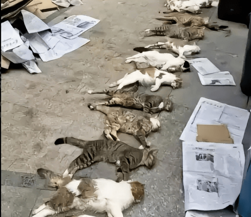 桂林编制考试刷掉第一名：别等社会淘汰你的孩子<strong></p>
<p>币8网</strong>，才后悔没教他