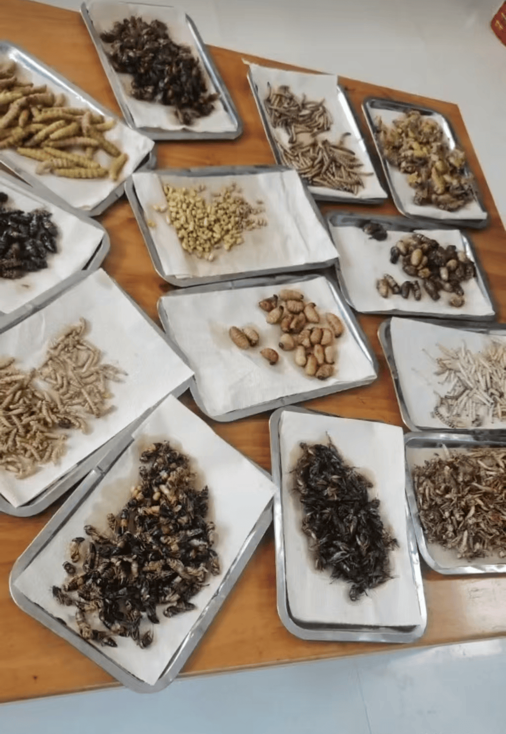 山东临沂通报“蛤蟆汤”饭店被拟罚45万:撤销处罚<strong></p>
<p>币投所</strong>,5人停职