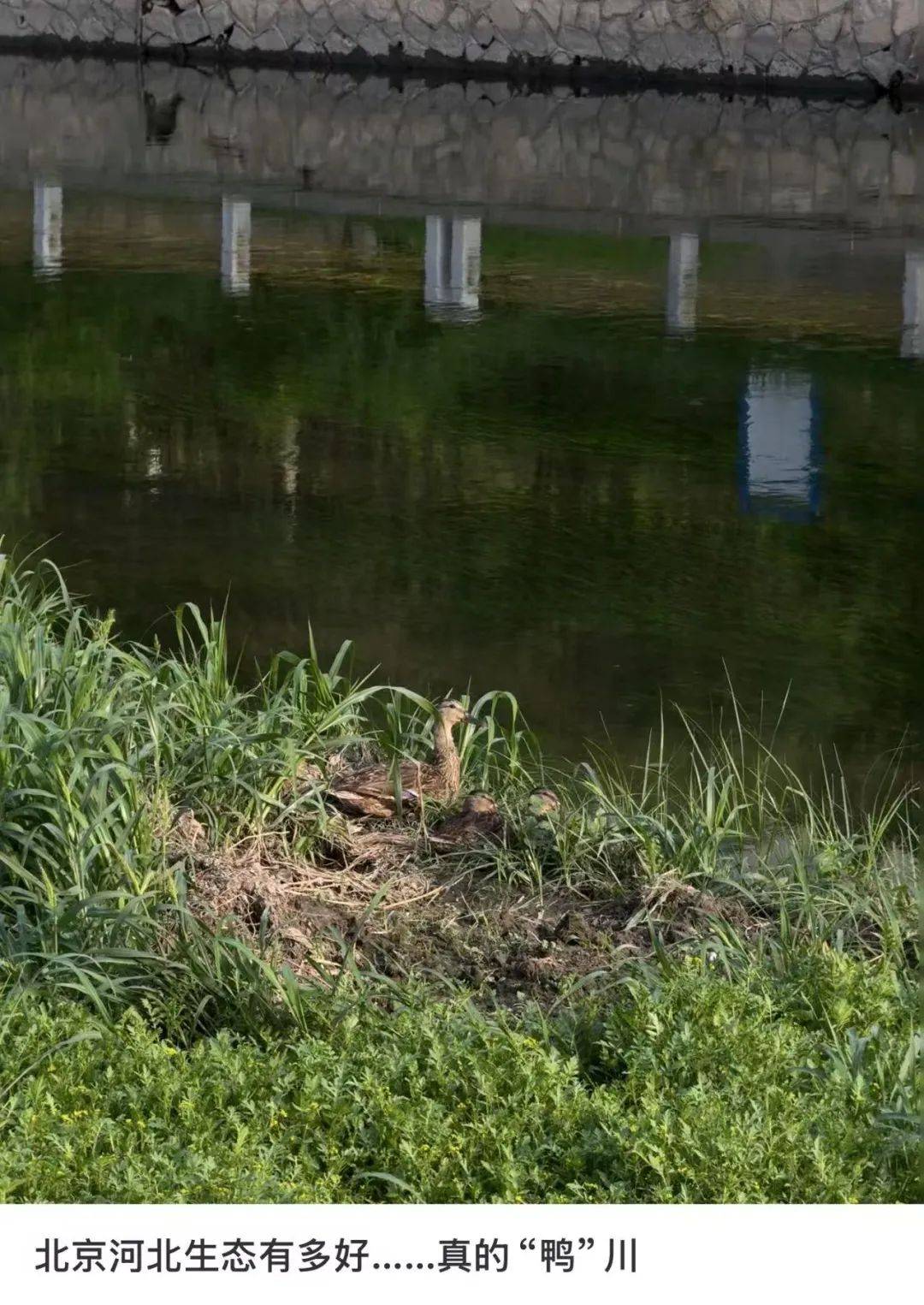 缺水的北京<strong></p>
<p>币圈世界</strong>，被北漂强行玩成了威尼斯