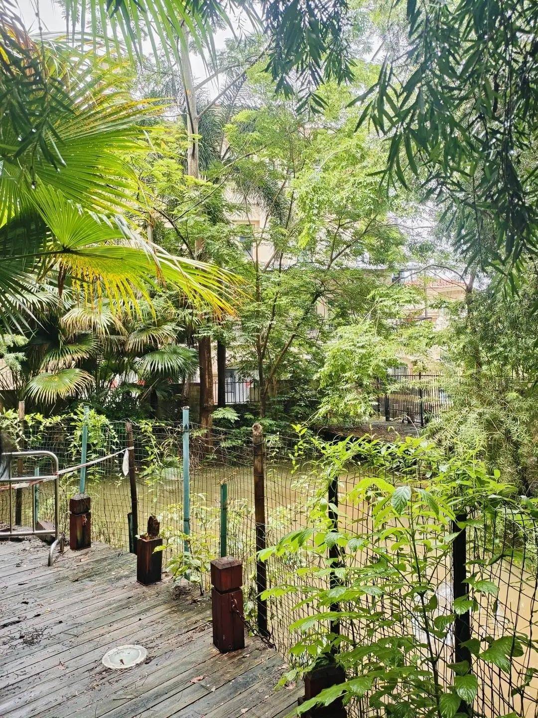 黄杨钿甜父母回应网络争议:“天价耳环”实际100多元<strong></p>
<p>一起点币</strong>,别墅不是自家的,只是路过拍照