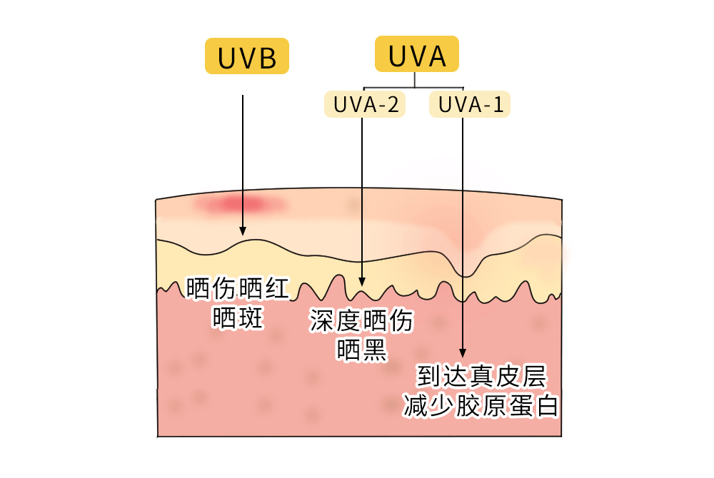 阴天没阳光<strong></p>
<p>好币网国际</strong>，就不用防晒了吧？