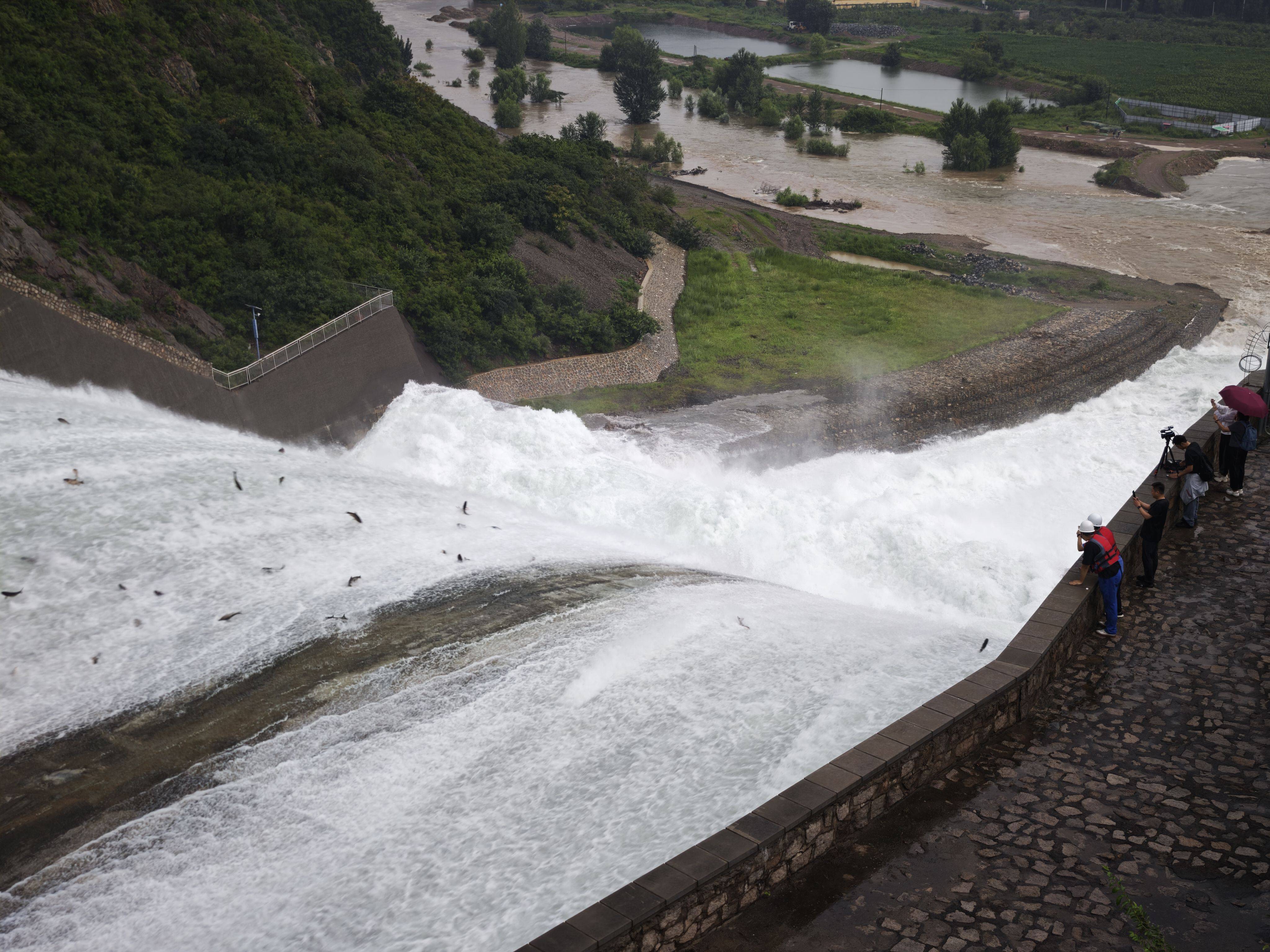 密云水库开闸泄流<strong></p>
<p>爱币投</strong>,大量“水质卫士”鲢鳙顺流而下
