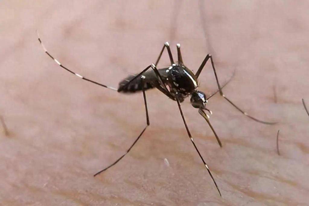 青岛疾控最新提醒:全民行动<strong></p>
<p>爱币投</strong>!翻盆倒罐、清除积水!