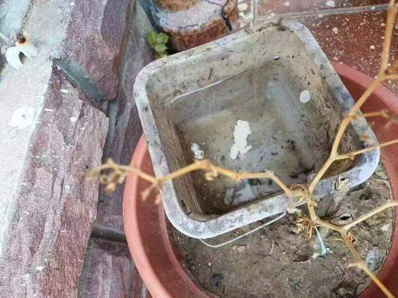 青岛疾控最新提醒:全民行动<strong></p>
<p>爱币投</strong>!翻盆倒罐、清除积水!