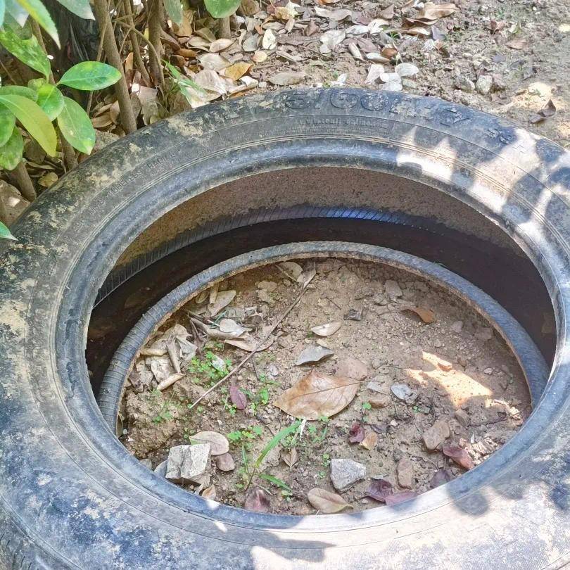 青岛疾控最新提醒:全民行动<strong></p>
<p>爱币投</strong>!翻盆倒罐、清除积水!