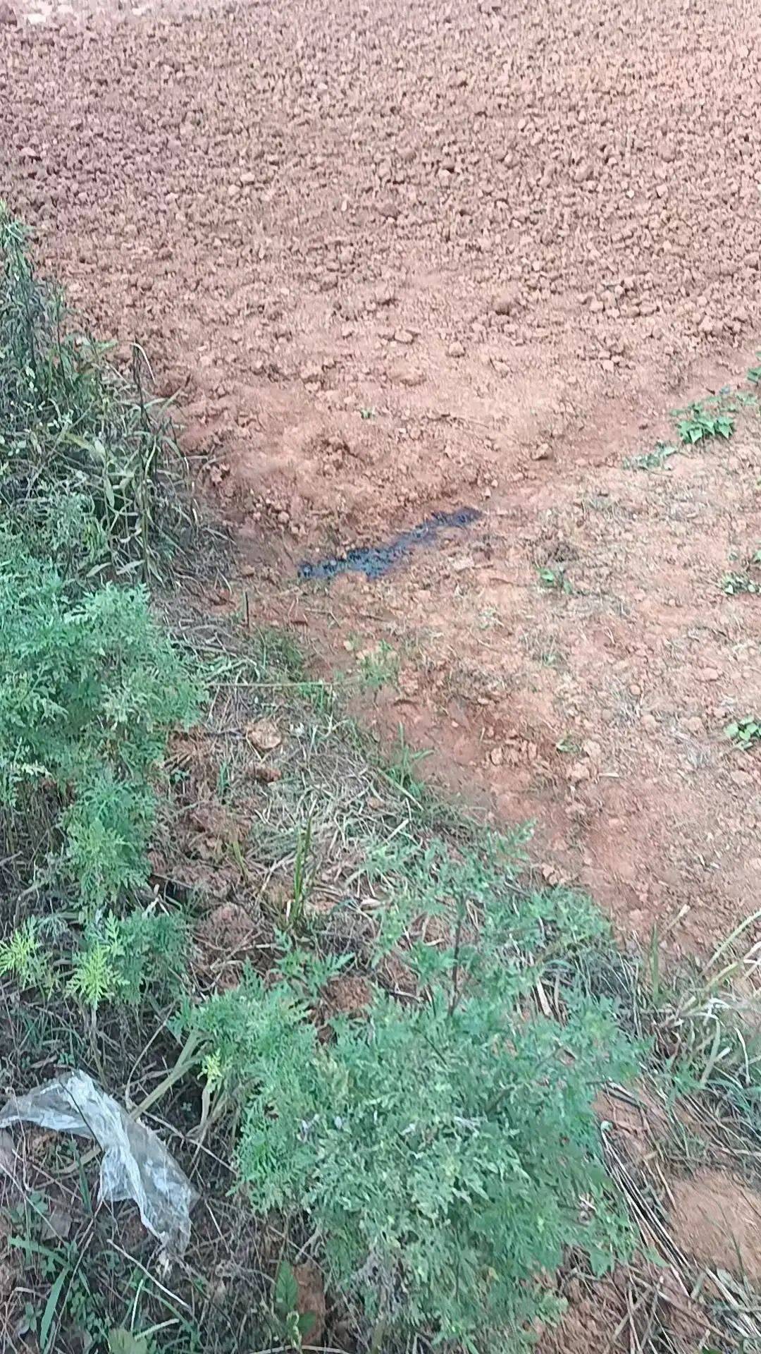 工人被误当猎物枪击身亡<strong></p>
<p>链改</strong>，警方通报：屈某某、罗某某被刑拘