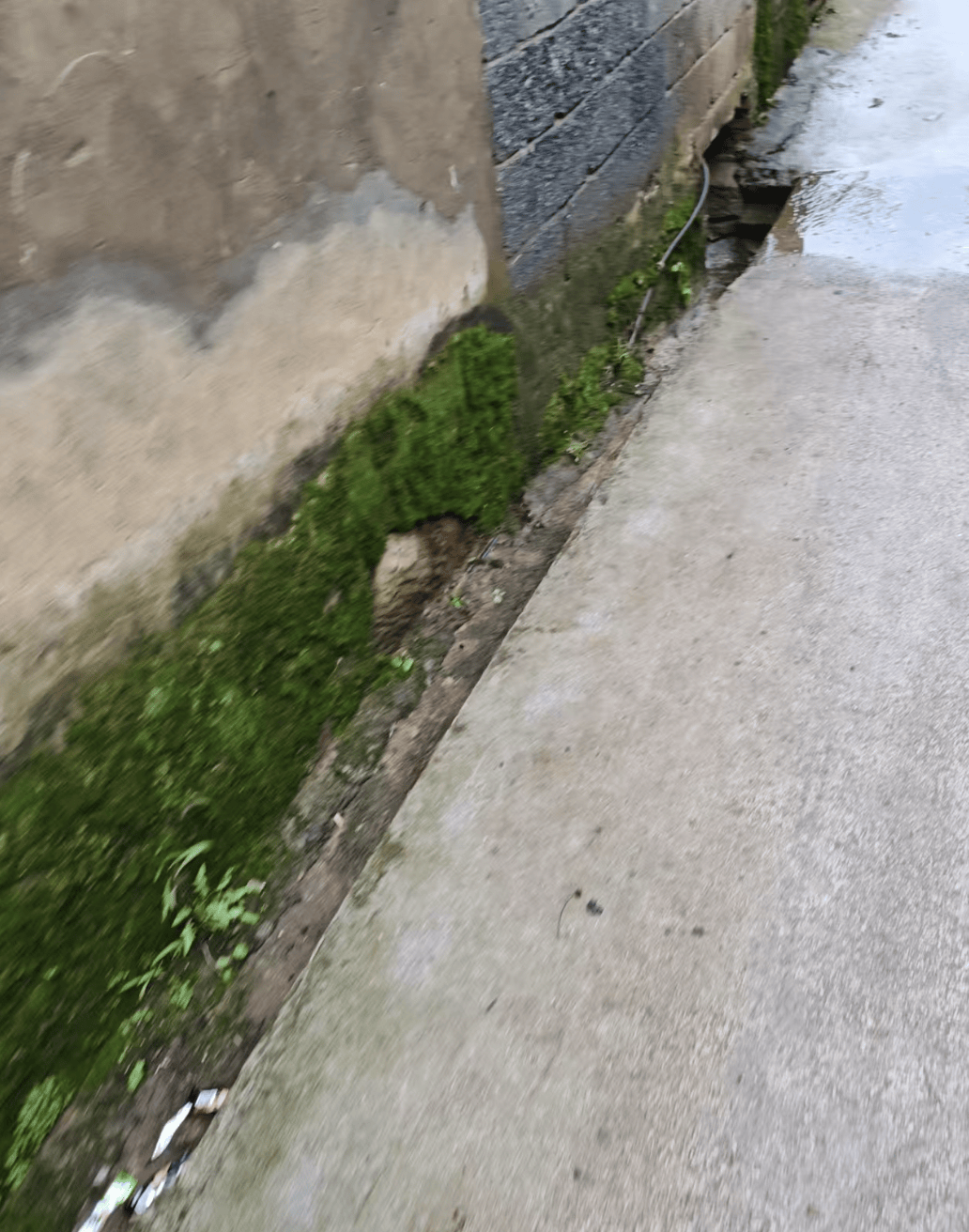 云南曲靖一女孩被同班男生送回家途中杀害<strong></p>
<p>黄埔军校</strong>,当地警方介入,家属发声