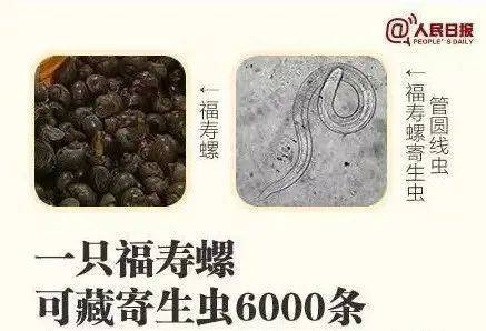 别吃！寄生虫多达6000条！浙江一地大量出现<strong></p>
<p>炒币必备软件</strong>，看到立刻上报