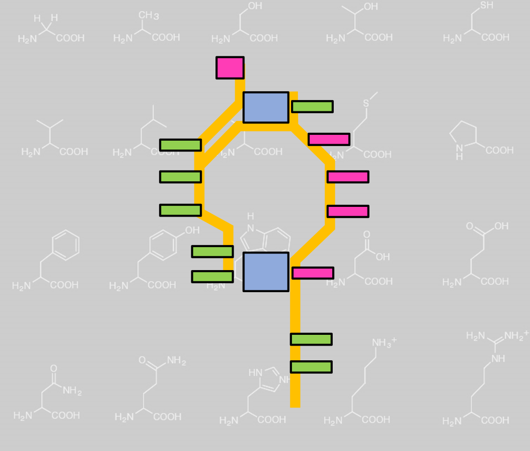 惊艳<strong></p>
<p>炒币必备软件</strong>!郑州大学新校区设计蓝图来了→