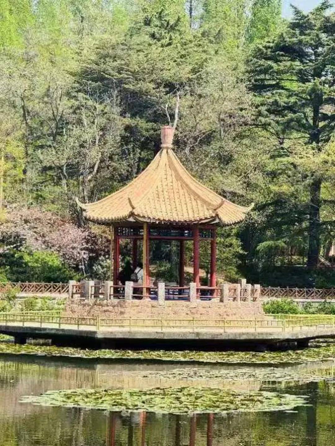 青岛中山公园一凉亭突然倒塌:一年前刚完成修缮<strong></p>
<p>网络币还能交易</strong>,园方称无伤亡原因待查