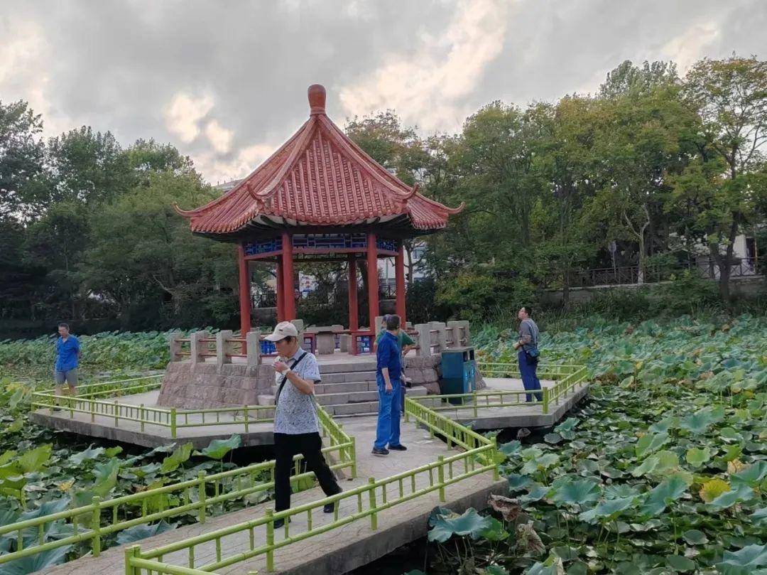 青岛中山公园一凉亭突然倒塌:一年前刚完成修缮<strong></p>
<p>网络币还能交易</strong>,园方称无伤亡原因待查