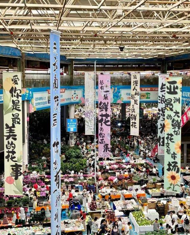 七夕不送玫瑰改送花菜<strong></p>
<p>智能炒币软件</strong>！这一届年轻人“反套路”重新定义浪漫