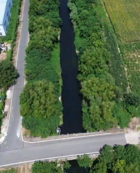 去年整改过的“黑水河”<strong></p>
<p>智能炒币软件</strong>,今年怎么又黑了? | 新京报快评