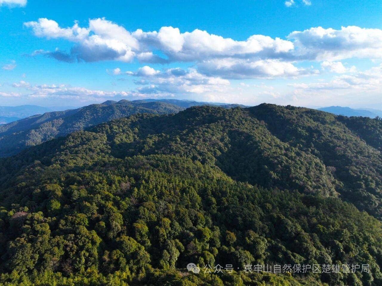 云南哀牢山新规出台：禁止任何单位和个人擅入哀牢山自然保护区<strong></p>
<p>币圈和链圈</strong>，从事科研活动须报批