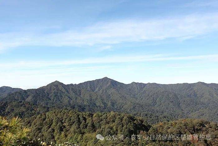 云南哀牢山新规出台：禁止任何单位和个人擅入哀牢山自然保护区<strong></p>
<p>币圈和链圈</strong>，从事科研活动须报批