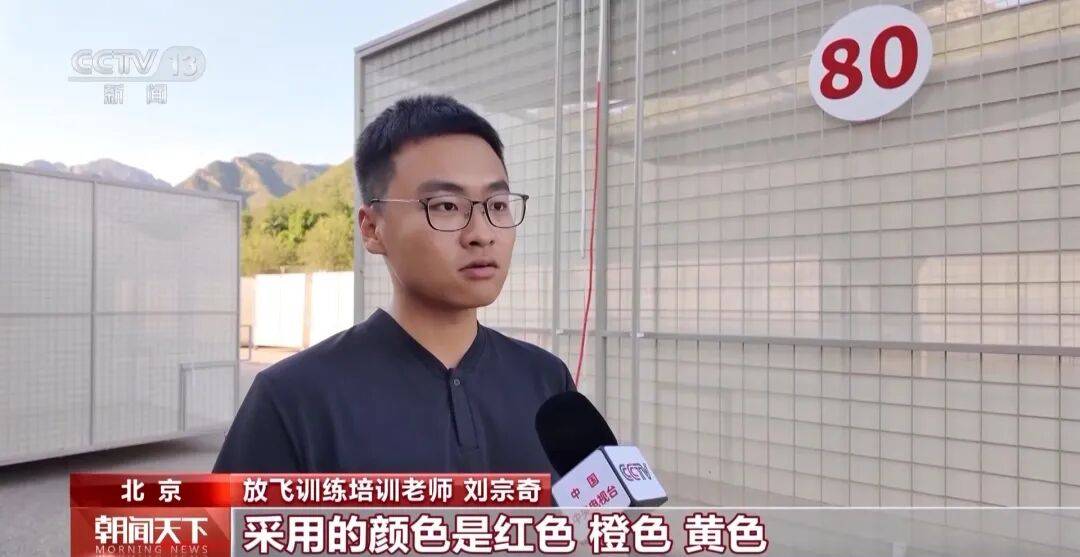 明天将放飞8万羽和平鸽、8万只气球<strong></p>
<p>币圈和链圈</strong>,揭秘!