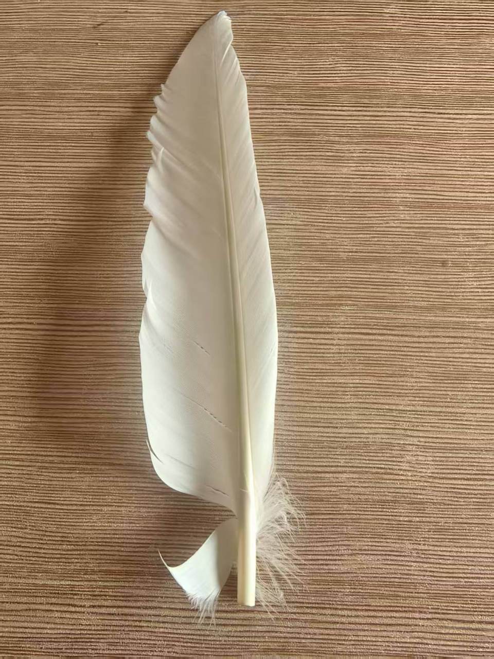 羽毛球又又又涨价<strong></p>
<p>币圈和链圈</strong>,球友破防:月花三千扛不住,打球人的天塌了