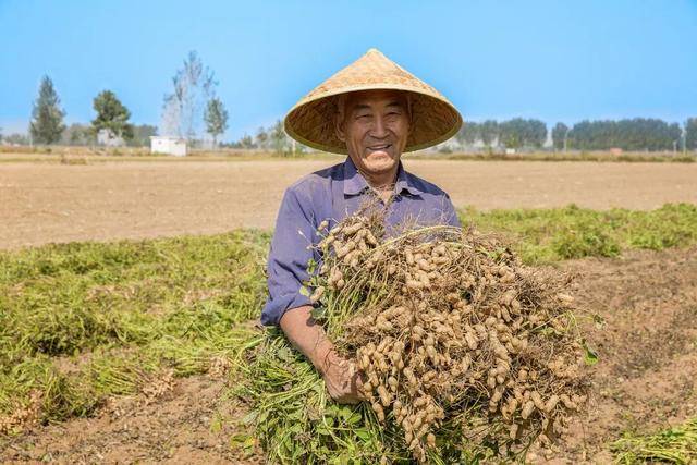 “花生上树”闹剧：AI翻车背后<strong></p>
<p>炒币交易软件</strong>，我们都在弄丢常识？