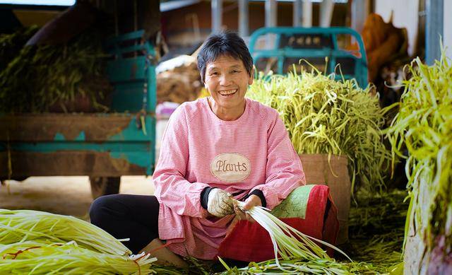 弥勒“新哨经验”<strong></p>
<p>新中产炒币实录</strong>，全州推广！