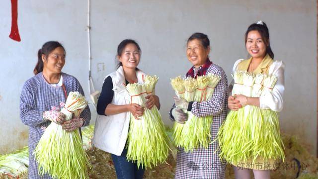 弥勒“新哨经验”<strong></p>
<p>新中产炒币实录</strong>，全州推广！