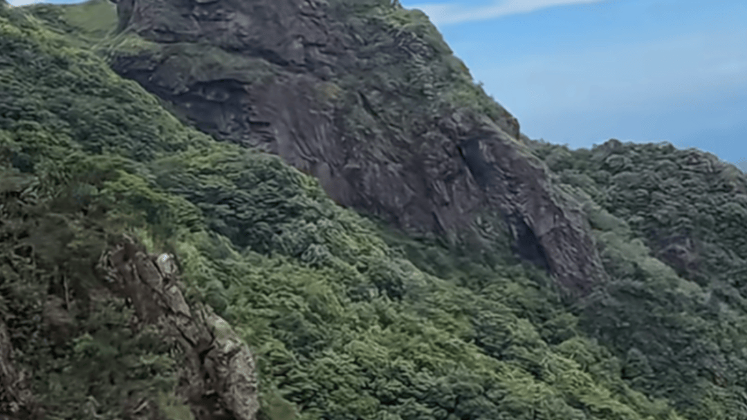 失联5天<strong></p>
<p>佰通币</strong>,遗体被找到!深圳警方初步排除刑事案件