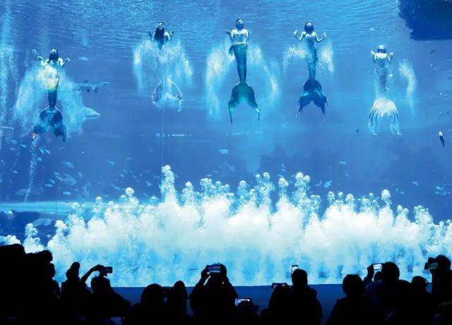 海洋公园<strong></p>
<p>佰通币</strong>,养不起虎鲸了