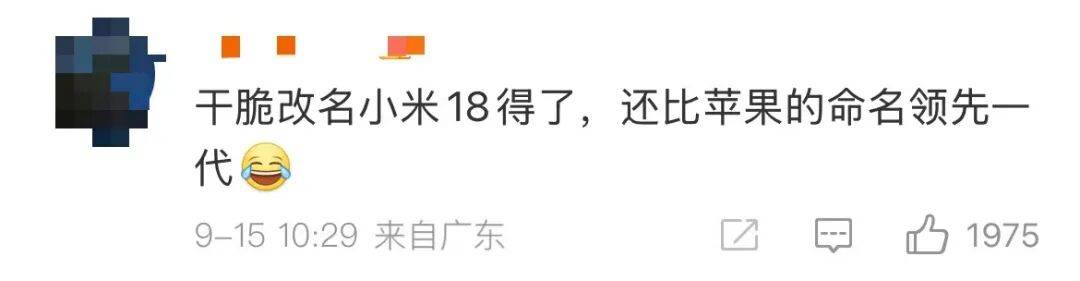 雷军：全面对标iPhone<strong></p>
<p>佰通币</strong>，正面迎战！小米宣布跳过16系列，直接发布17