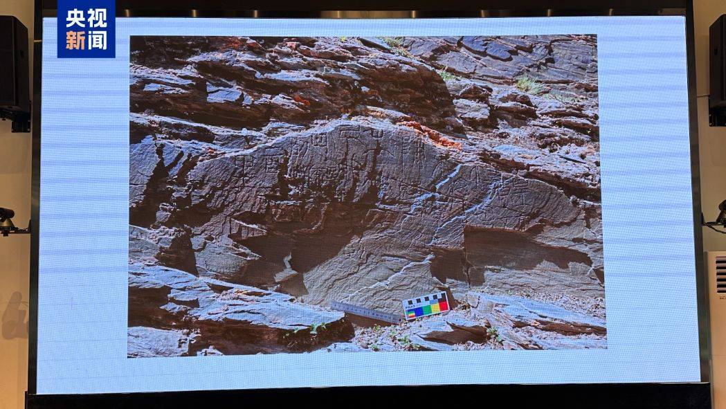 重要发现!扎陵湖秦代刻石得到认定!每经独家采访当地牧民:40年前就曾看见<strong></p>
<p>佰通币</strong>,在他家牧场内