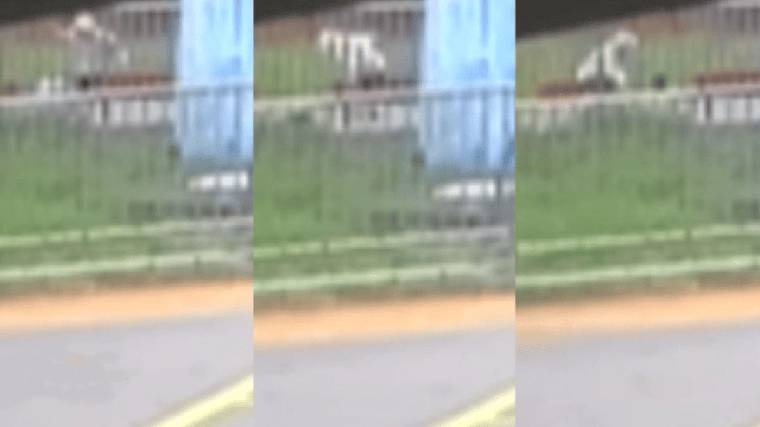 “44秒31刀”<strong></p>
<p>晋商币</strong>，台湾残忍情杀案曝光：多次寻求复合被拒，17岁少年网购长刀当众杀害21岁前女友，已被逮捕