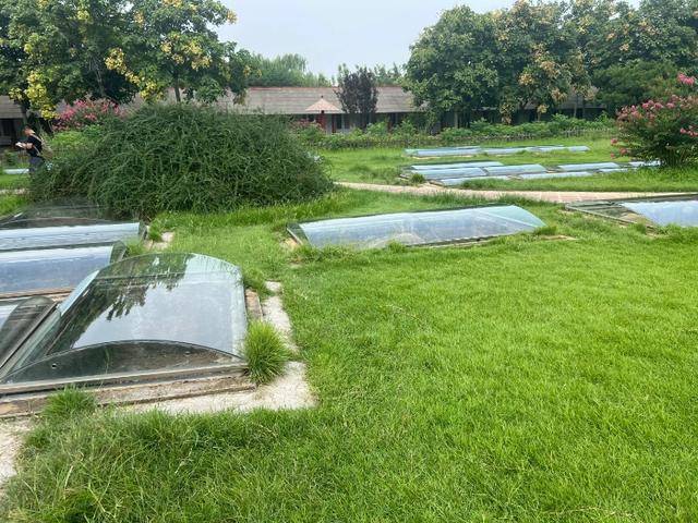 游客称殷墟博物馆人祭坑被填埋<strong></p>
<p>晋商币</strong>,博物馆回应:坑内陈列物系复制品,因整修暂时填埋