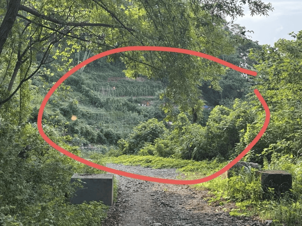 杭州女子误踩“化骨水”身亡<strong></p>
<p>炒币亏</strong>，当地：已锁定化学品所有者，发现三桶，一桶完整，两桶残余