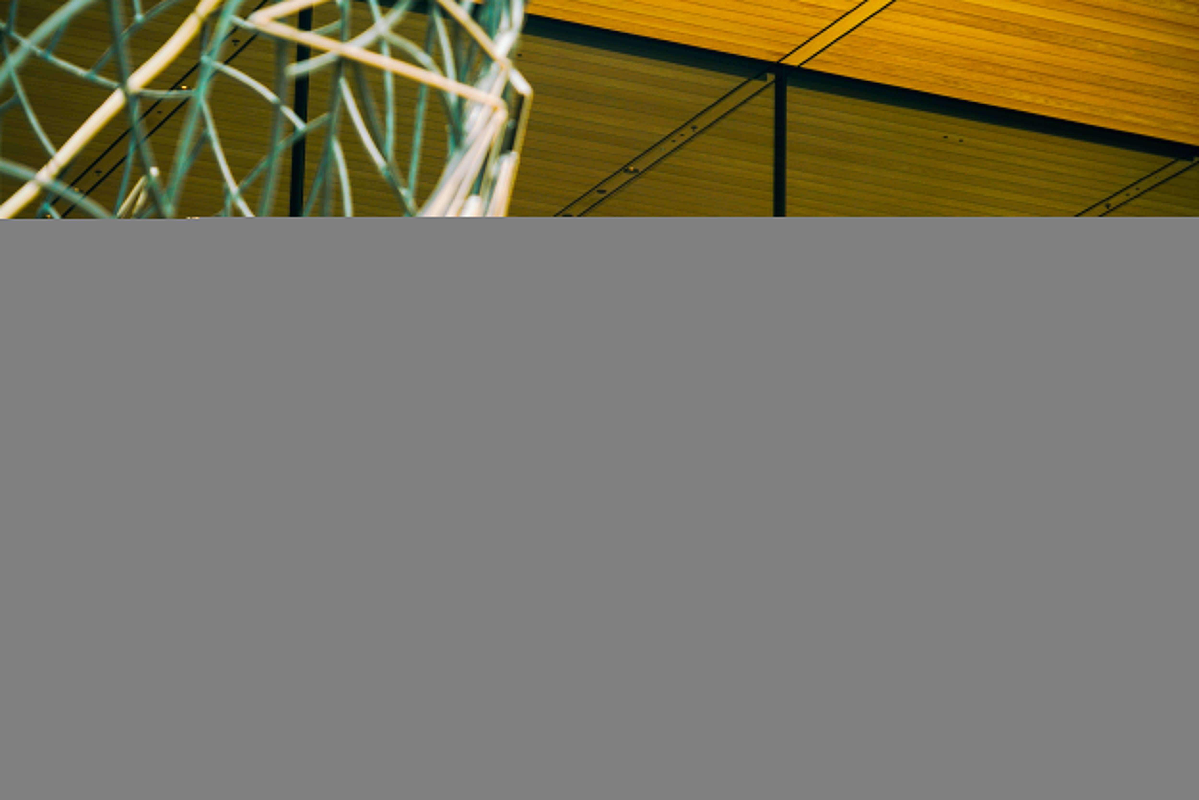 iPhone 17正式开售<strong></p>
<p>币友圈</strong>,橙色Pro Max黄牛最高加价1500元