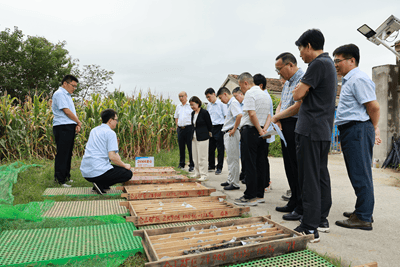 江苏发现金矿<strong></p>
<p>币友圈</strong>！离扬州不远！