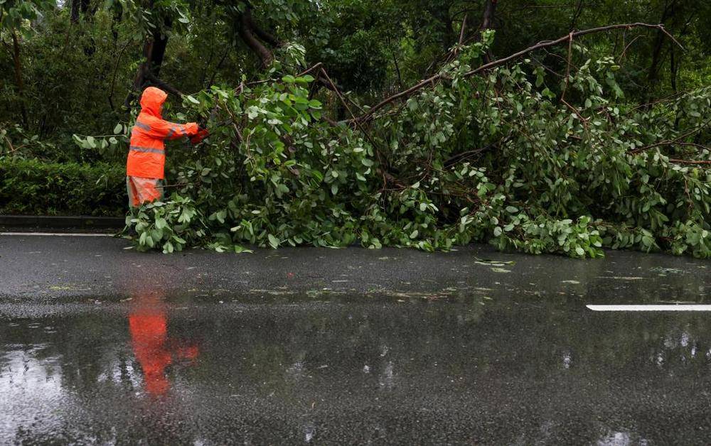 谁给“风王”踩了“刹车”<strong></p>
<p>引力币</strong>,打了“转向”,又是咋知道的?