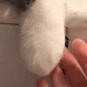 1227个城镇老旧小区<strong></p>
<p>引力币</strong>,全部开工!