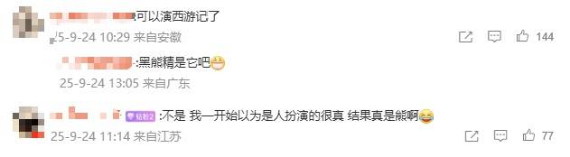 安徽一动物园黑熊披袈裟站立引游客质疑<strong></p>
<p>引力币</strong>,工作人员:是真熊,人工饲养易出现仿人行为