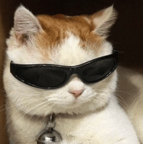 “不亚于春节回家”!凌晨5点<strong></p>
<p>永旺币</strong>,深圳有人已经堵在路上……