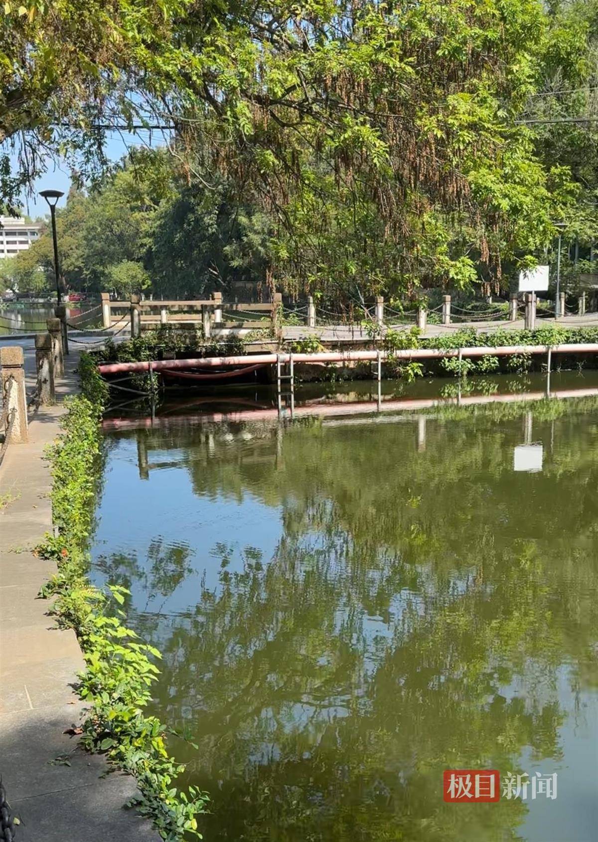 对话鸡排哥李俊永:爆火后每天一二十个镜头对着我<strong></p>
<p>永旺币</strong>,未来不考虑直播带货,更愿意和顾客待在一起