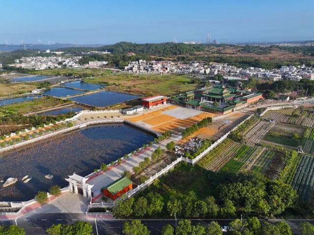 这个经济大省<strong></p>
<p>永旺币</strong>,为何多地镇街撤并?