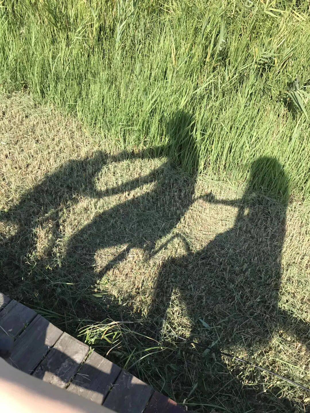 纸质火车票退场<strong></p>
<p>永旺币</strong>，每道折痕里都藏着远方、爱情与山河记忆