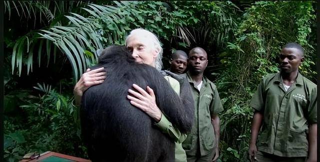 “课本上的传奇”<strong></p>
<p>麦奇币行情</strong>，走了