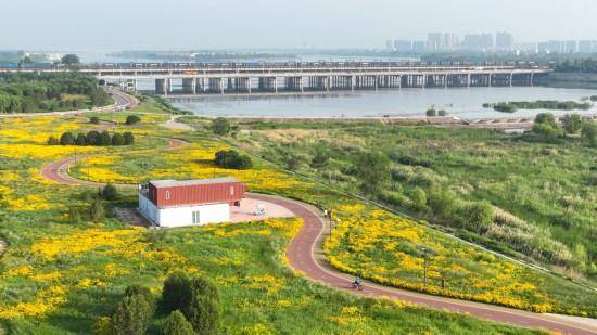 追光丨走出家门 来探探身边的环城绿道<strong></p>
<p>麦奇币行情</strong>!