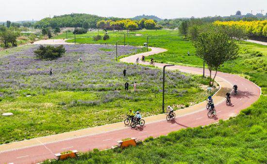 追光丨走出家门 来探探身边的环城绿道<strong></p>
<p>麦奇币行情</strong>!