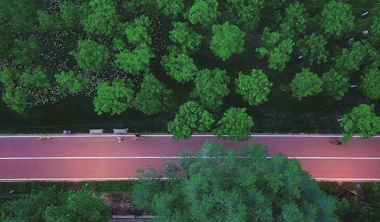 追光丨走出家门 来探探身边的环城绿道<strong></p>
<p>麦奇币行情</strong>!