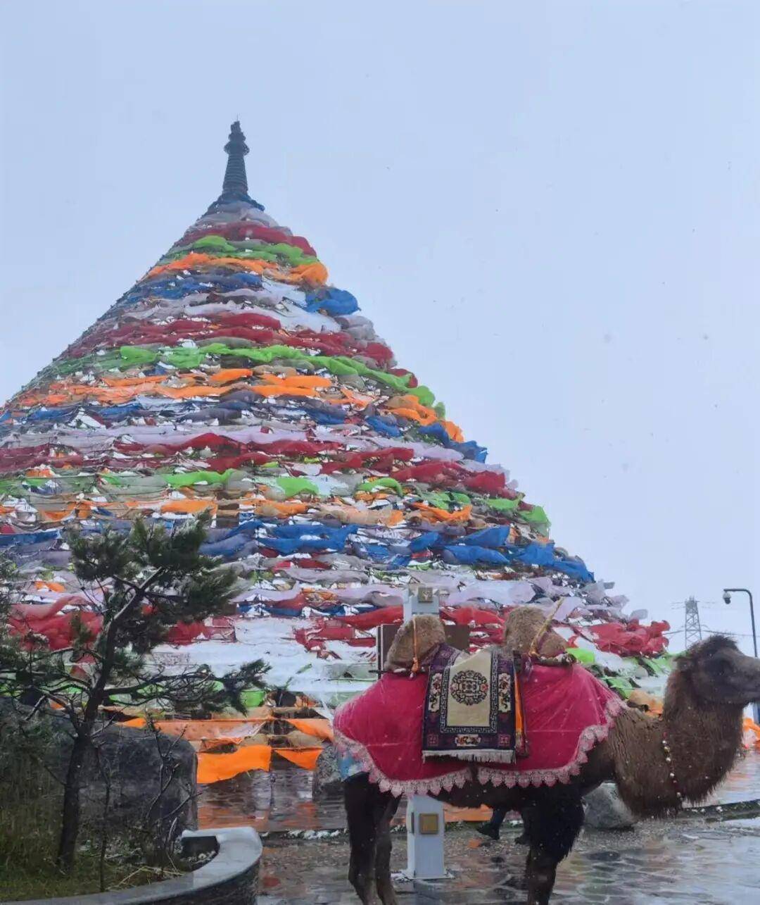 多地突降大雪<strong></p>
<p>麦奇币行情</strong>!